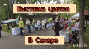 Выставка цветов.🌺🪴🪻🌷
