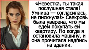 Аудио рассказ. Свекровь была уверена, что мы едем покупать ей квартиру. Истории из жизни.