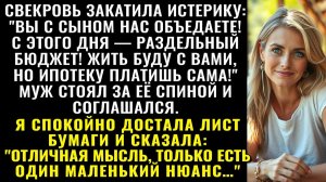 Истории из жизни| С этого дня — раздельный бюджет! |Аудио рассказы|Жизненные истории