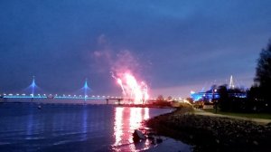 Сакура и вечерний салют в Петербурге