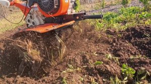Мотоблок Стинко. Посадка рассады клубники в открытый грунт