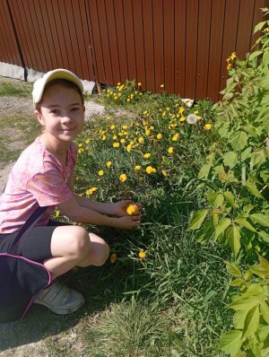 показ мод