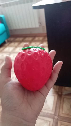 новый сквиш