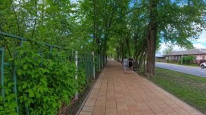 Лучшая шаурма в Талдоме