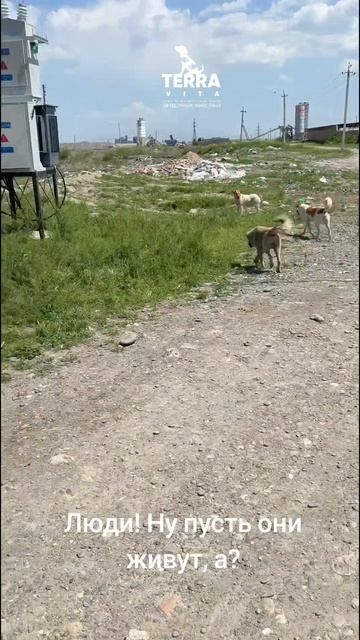 пусть они живут