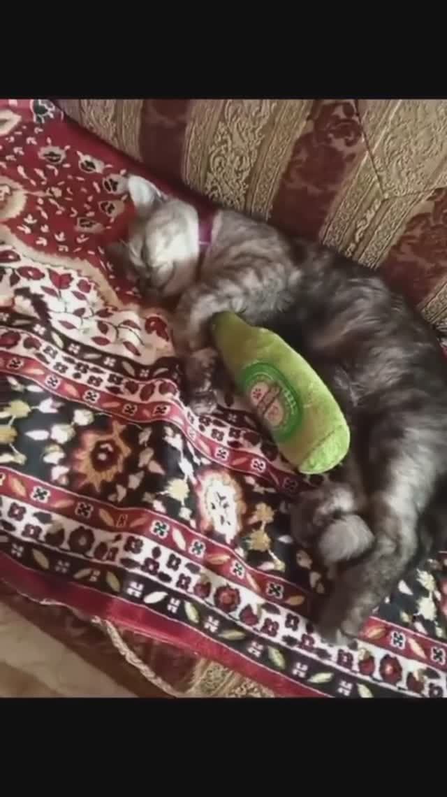 Никаких забот!