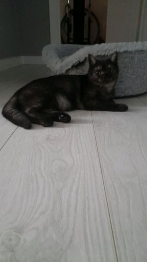 ломаем домик