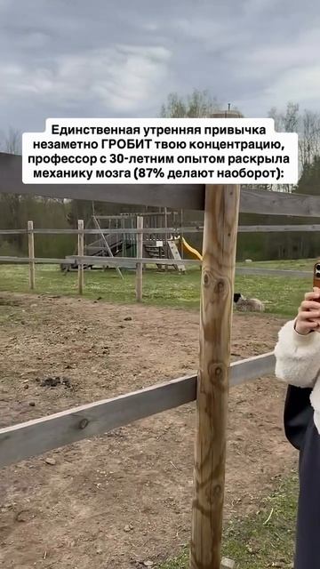 Читай описание👇🏻