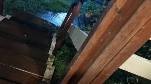 СОЧИ ГОРНОЕ ЛОО УТРО 16.05.2026