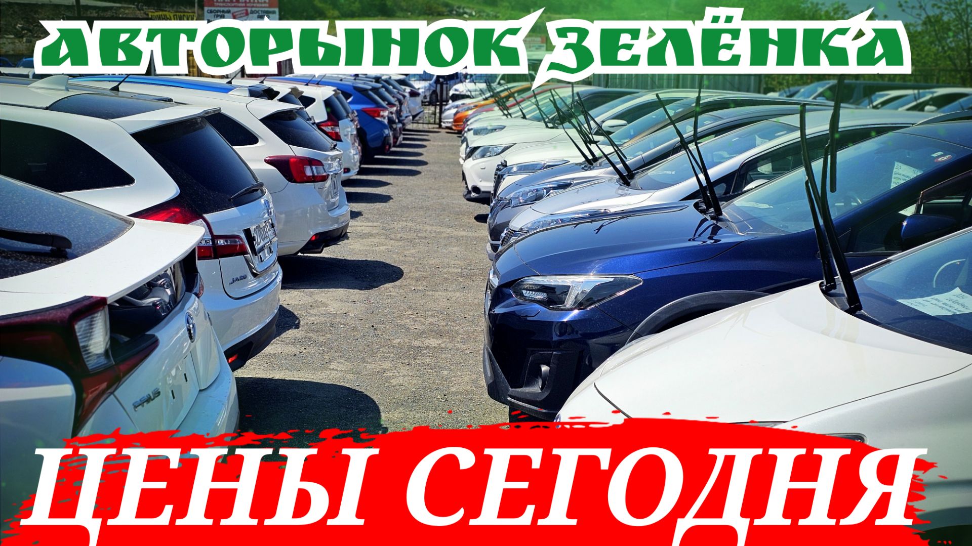 АВТОРЫНОК ЗЕЛЁНКА ЦЕНЫ СЕГОДНЯ