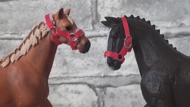 лошади шляйх знакомство