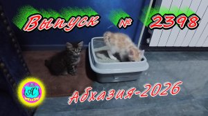 #Абхазия2026🌴 16.05.26г.🔥 Выпуск № 2398❗вчера +18°🌡ночью +13°🌡море +?°🐬