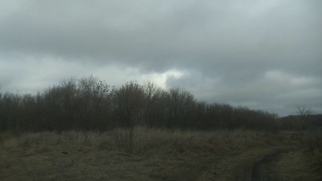 Опустевшая деревня Николаевка, Турковский район.