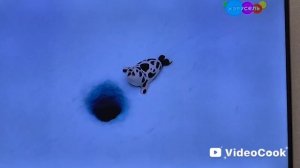 ахахахахахахахахаха