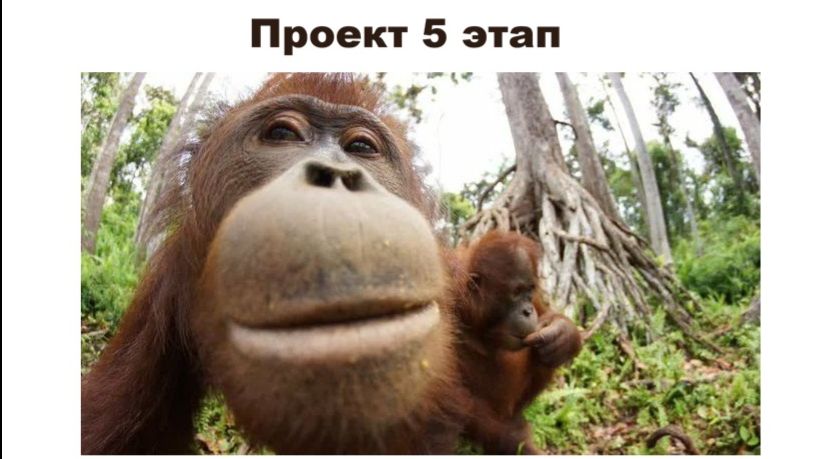 проект 5 этап выполнение
