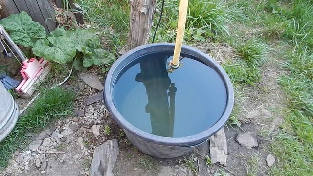 Местами ледок кабачки не укрыл что будет