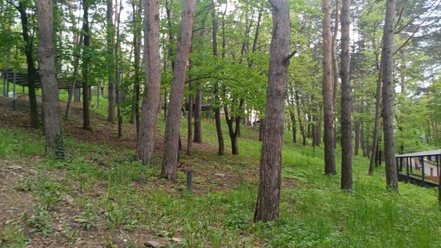 Комсомольский парк,Кисловодск.16.05.2026