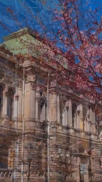 Весна в Санкт-Петербурге #топ #питер #спб #весна #санктпетербург #россия