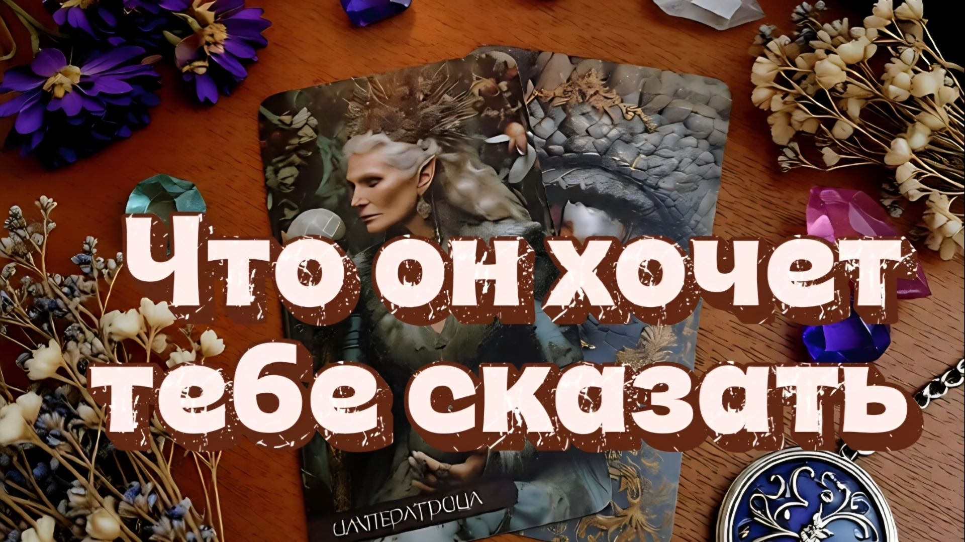 Что он хочет тебе сказать...