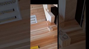 1000058423.mp4 (Собака наблюдает за устройством лестницы на 2-ой этаж в доме А-фрейм)