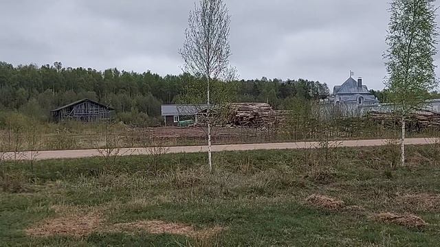Выгон скота 7 мая