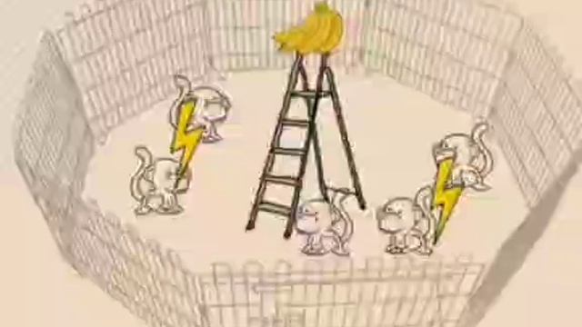 Думаем...5 обезьян