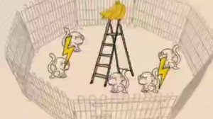 Думаем...5 обезьян