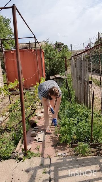 Навожу порядок в малине