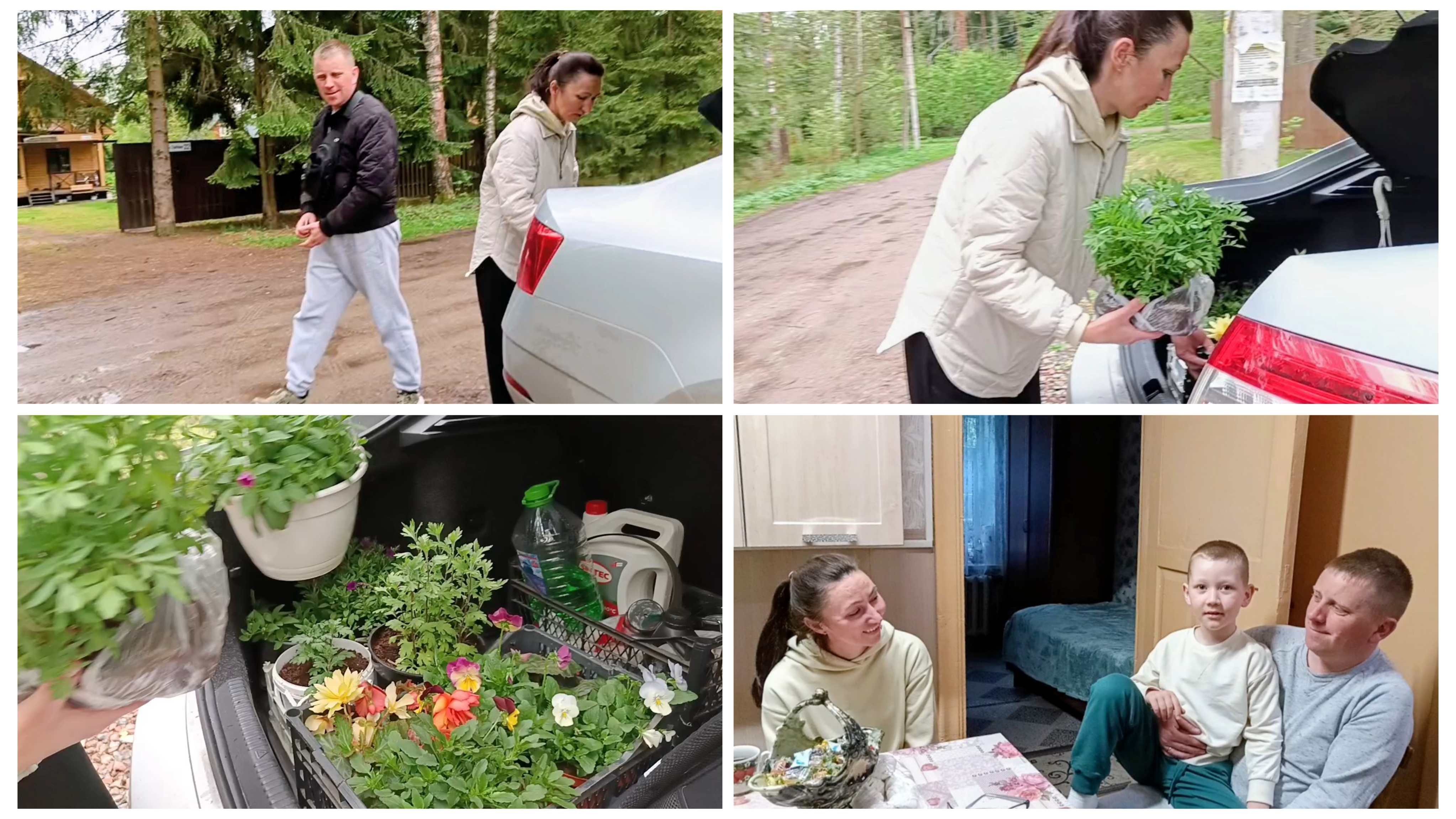 "Жизнь на пенсии".. Приезжали гости, привезли много цветов 🌺🌼!!