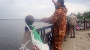 весенняя уклейка  на набережной города