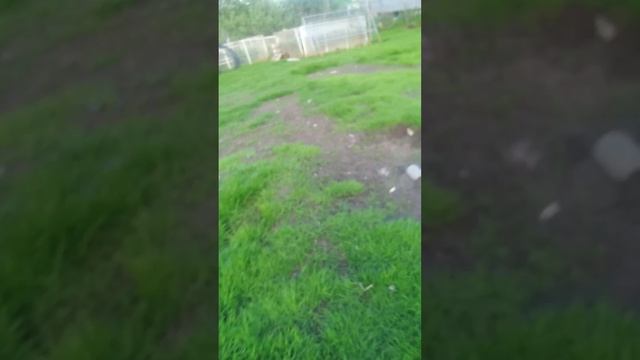 1000015059.mp4 смотреть онлайн
