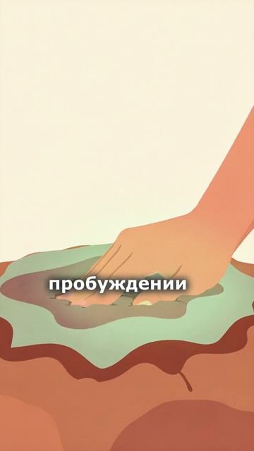 Почему правильные умные книги делают нас несчастными?