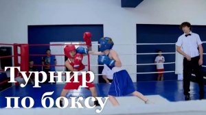 В Луганске стартовали соревнования по боксу