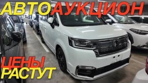 ТОРГИ В ЯПОНИИ НАЧАЛИСЬ / MAZDA AXELA HONDA STEPWGN FREED VEZEL TOYOTA COROLLA SUZUKI JIMNY NOMADE
