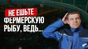 Никогда не ешьте ЭТУ рыбу. Стоп! Сначала посмотрите видео