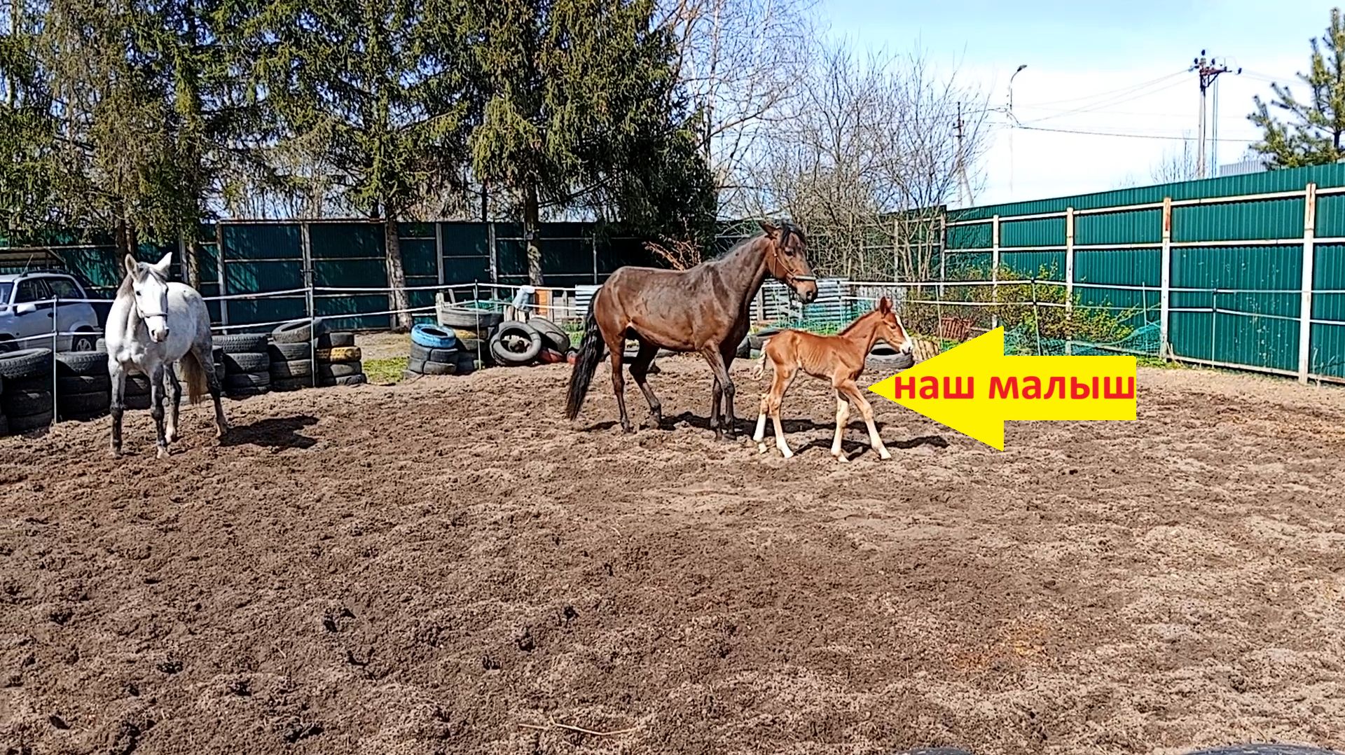 Впервые на улице