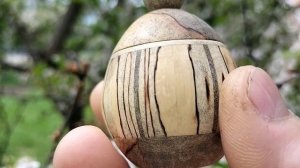 Шкатулка на цветущей вишне