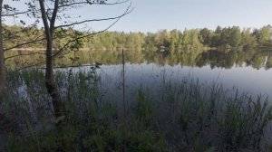 Майская рыбалка окуня на блесна MEPPS .