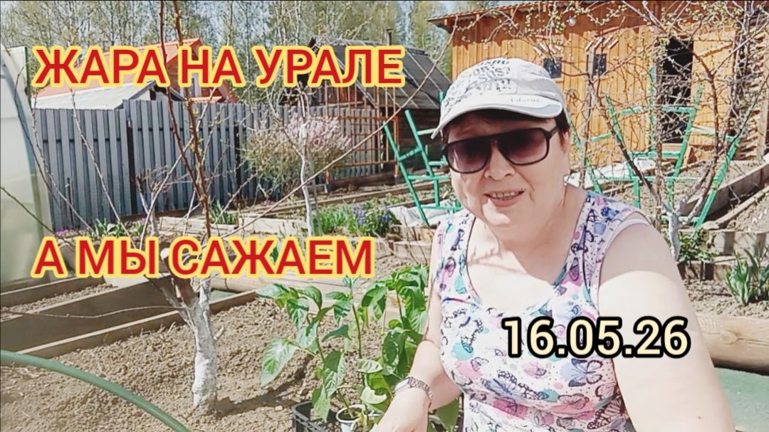 ЖАРА НА УРАЛЕ.САЖАЮ ПЕРЦЫ🌶️И САДОВУЮ ЗЕМЛЯНИКУ 🍓16.05.26г
