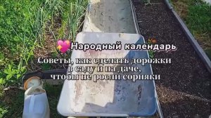 Полезные советы: как и из чего сделать дорожки во дворе и огороде, чтобы не прорастали сорняки