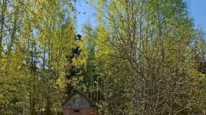 Видеоосмотр - вид дома с улицы, участок, дорога к дому. п.Мезиновский, ул.Маяковского, Владимирская.