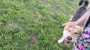 Моя Жизнь в Деревне😍 Пол дома обшила я смогла и с экономила много.