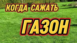 Когда сеять газон: весной, летом или осенью? Мой эксперимент и честный результат