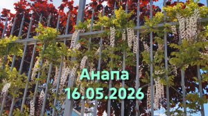 Анапа 16.05.2026 Коротко