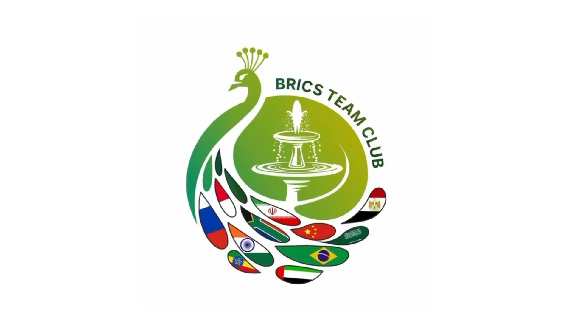 BRICS TEAM CLUB