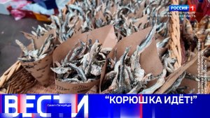 Вести Санкт-Петербург. Выпуск 20.50 от 16.05.2026