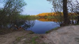 Утро на реке Линда. Пение птиц. Звуки природы для сна и отдыха