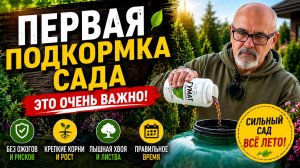 Первая подкормка сада весной: что внести, чтобы растения быстро пошли в рост