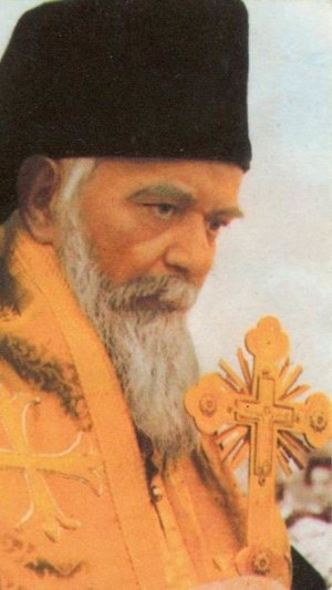 15. Свт.Николай Сербский. Евангелие о милосердном самарянине.