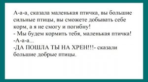 Нет_для_того_чтобы_смотреть_на_это_зрелище_Лучшие_анекдоты_Смешные